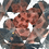 Ilya_Mezer Ilya_Mezer